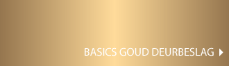 Quofi basics goud beslag