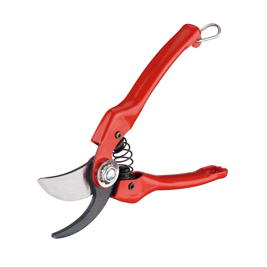 Overzicht van Scharen