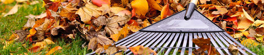 Onderhoud de tuin met de Tuinkalender voor november dankzij Quofi