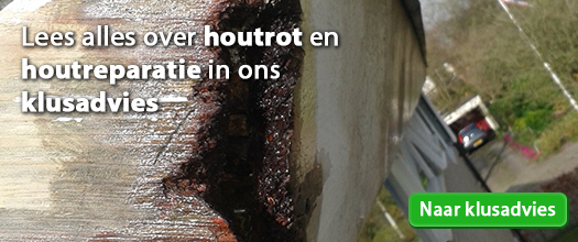 Bekijk hier ons klusadvies over houtrot en houtreparatie