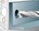 fischer doorsteekanker - FAZ II - 10/50 - 94984