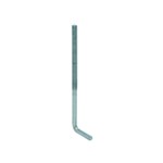 Gebr. Bodegraven muurplaatbout - M12 - 250x50 mm - verzinkt
