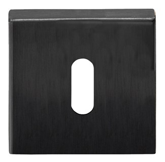Formani BSQN53 BASICS sleutelplaatje pvd gunmetal