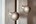 Dauby meubelknop - Pure PT-25 - ruw brons - 25 mm