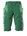 MASCOT short - Accelerate - 18149-511 - groen - maat 66