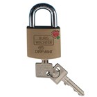 Burg veiligheids hangslot 50mm d 600 50