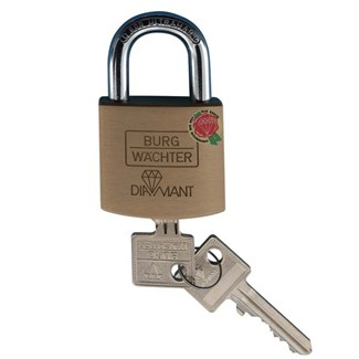 Burg veiligheids hangslot 50mm d 600 50