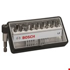 Bosch 18 + 1-delige Robust Line schroefbitset
