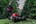 Milwaukee accu grasmaaier - F2LM53-0 - 18V - excl. accu en lader