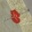 Gebr. Bodegraven UNI-boorspouwanker - 190x4 mm - verzinkt
