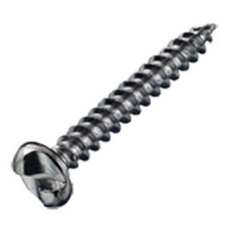 DX anti-inbraakschroef - 4.0x25mm - gegalvaniseerd - bolle kop