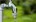 Gardena slangstuk - 13 mm (1/2") - 15 mm (5/8") - 18215-20