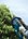 Makita heggenschaar 230V - UH4570 - 550W - 45cm - in doos