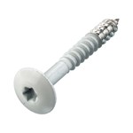 Hoenderdaal crèmewitte hpl schroef - RVS-A2 - TX-20 - 4.8x25mm