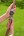 Gardena reparateur - 13 mm (1/2") / 15 mm (5/8") - 18232-20