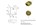 Reginox New York 3440 R10 vlak+onderbouw Comfort spoelbak - Gold
