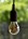 Bailey LED peerlamp dimbaar - Spiraled Basic - E27- 3W (18W) - Gold - warmwit