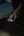Ledlenser P5R CORE oplaadbare LED zaklamp 500 lm - 250 mtr