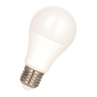 Bailey LED peerlamp - Ecobasic - E27- 6W (42W) - warmwit
