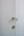 Dauby deurkruk - Pure PHTL"T+L" / 50 - wit brons 
