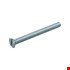 Hoenderdaal metaalschroef [200x] - VZ - platkop - zaagsnede - M4x10mm