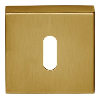 Formani BSQN53 BASICS sleutelplaatje pvd mat goud