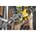 DeWALT DCS386NT-XJ 18V XR reciprozaag met FLEXVOLT ADVANTAGE excl. accu en lader