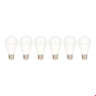 Bailey Ecopack LED lampen [6st] - A60 - E27 - 6W [42W] - 550lm - 840 - opal