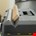 Stanley gereedschapskoffer - FatMax Heavy Duty - 1-94-749