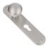 AMI langschild met vaste knop (50mm) ovaal - cilindergat - PC 72 - F1 - 322976