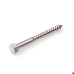 Hoenderdaal houtdraadbout [50x] - RVS-A2 - SW-17 - 10x70mm