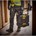 DeWALT DWST08061-1 ToughSystem 2.0 werklamp/gereedschapskoffer 18V XR 