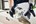 Festool cirkelzaagbladen KSB-SORT/ 3W 160x1,8 - set van 3