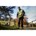 DeWALT DCMST561N-XJ 18V XR grastrimmer excl. accu en lader