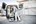 Festool systainer³ - SYS3 M 112 - 7,7 L - 204840